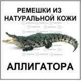 Из натуральной кожи аллигатора